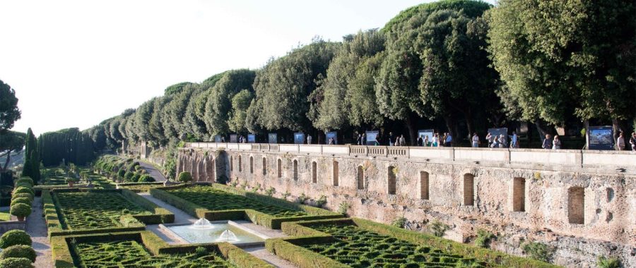 Fot. Vatican Media
