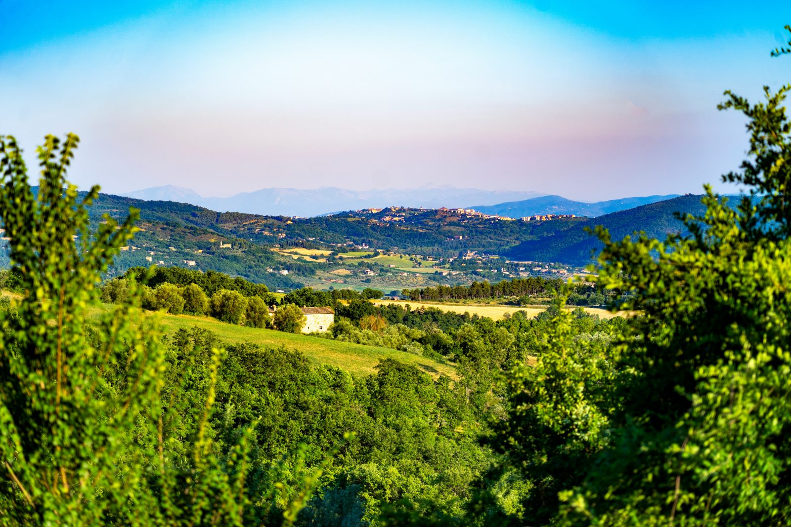 fot. Nils Schirmer/unsplash