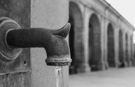 fot. Miguel Garcia/unsplash