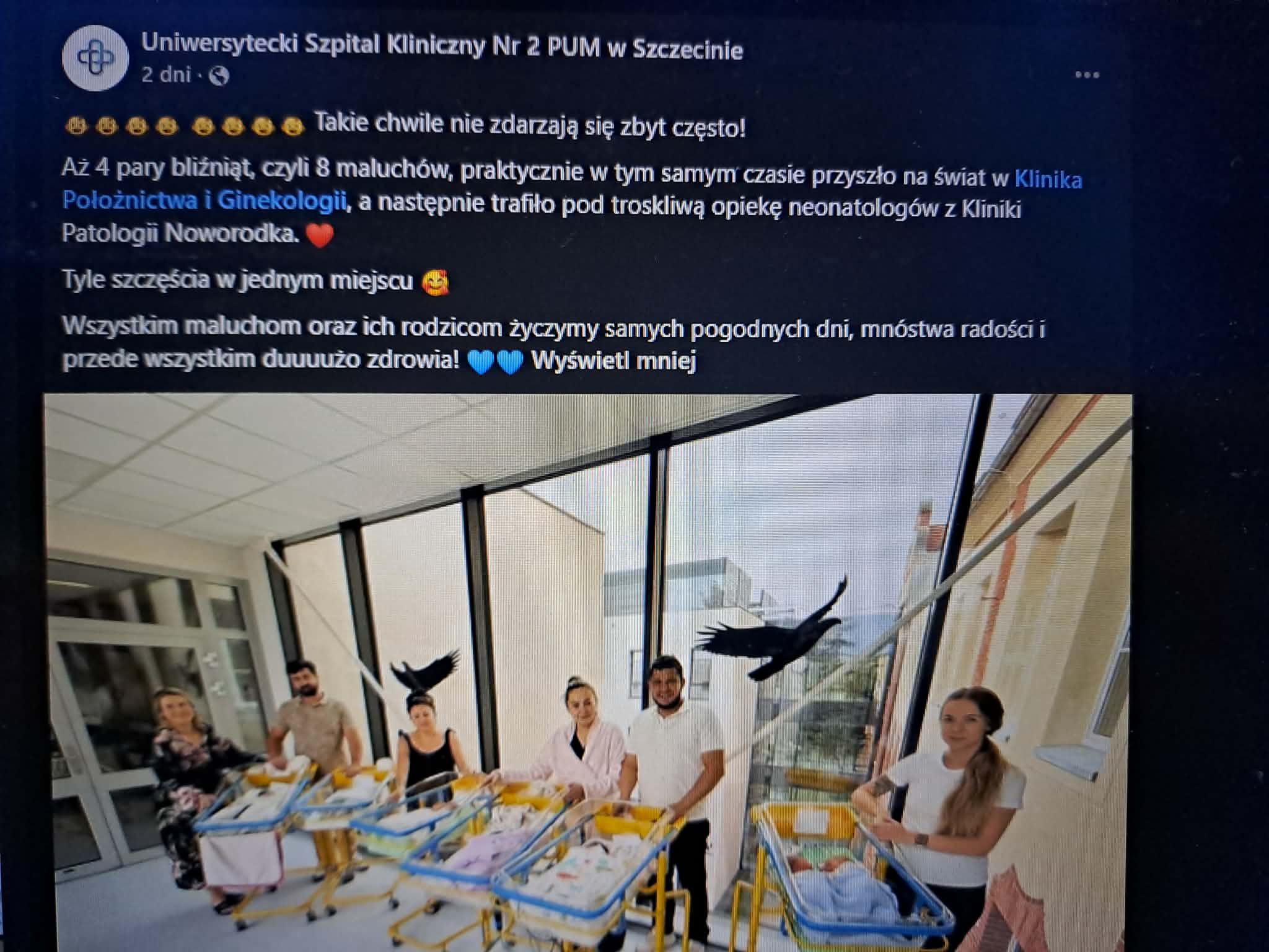 Cztery pary bliźniąt przyszły na świat w szczecińskim szpitalu