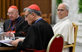fot. Vatican media