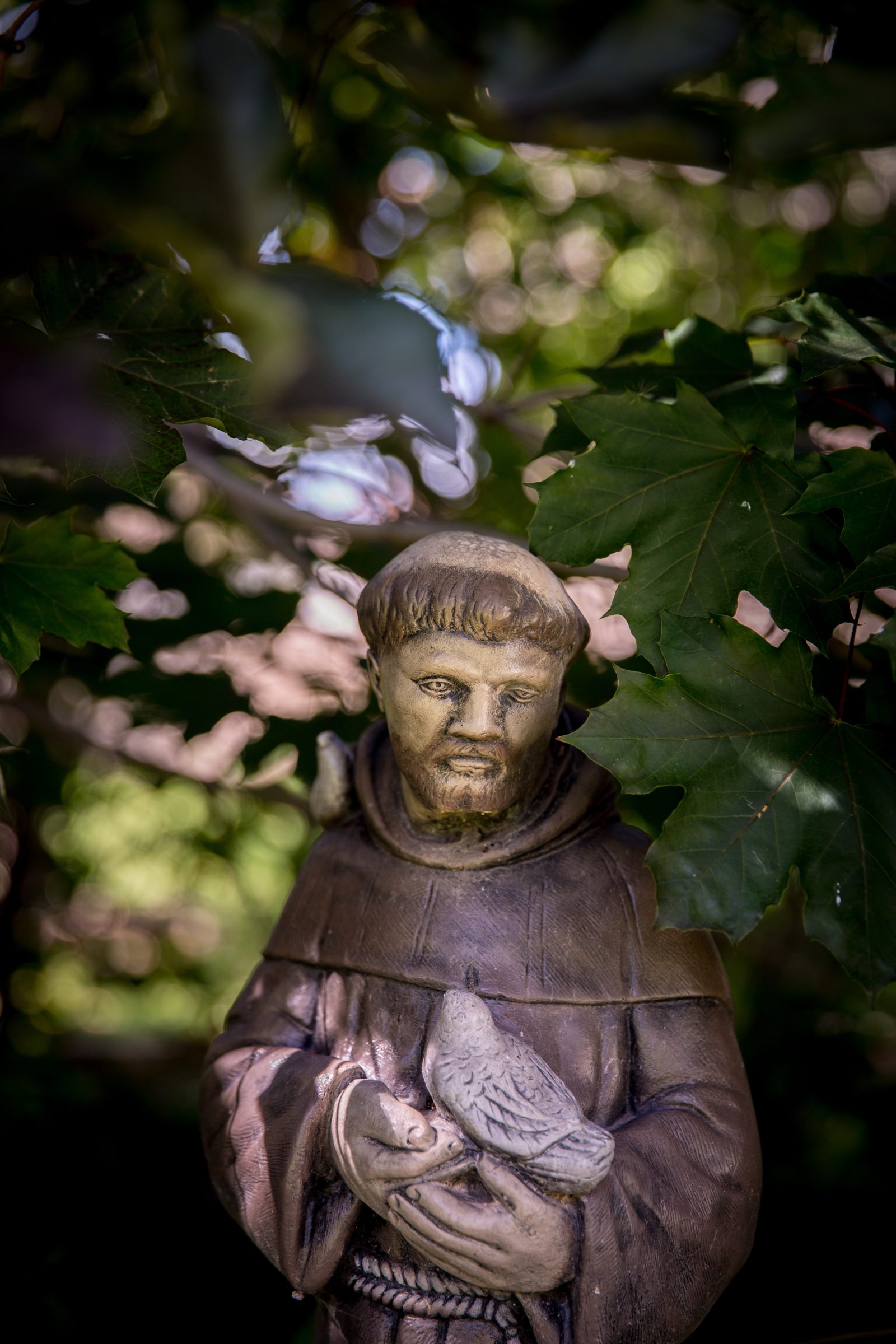 Św. Franciszek z Asyżu – ten, który pogodził życie ze śmiercią [PARON DNIA]