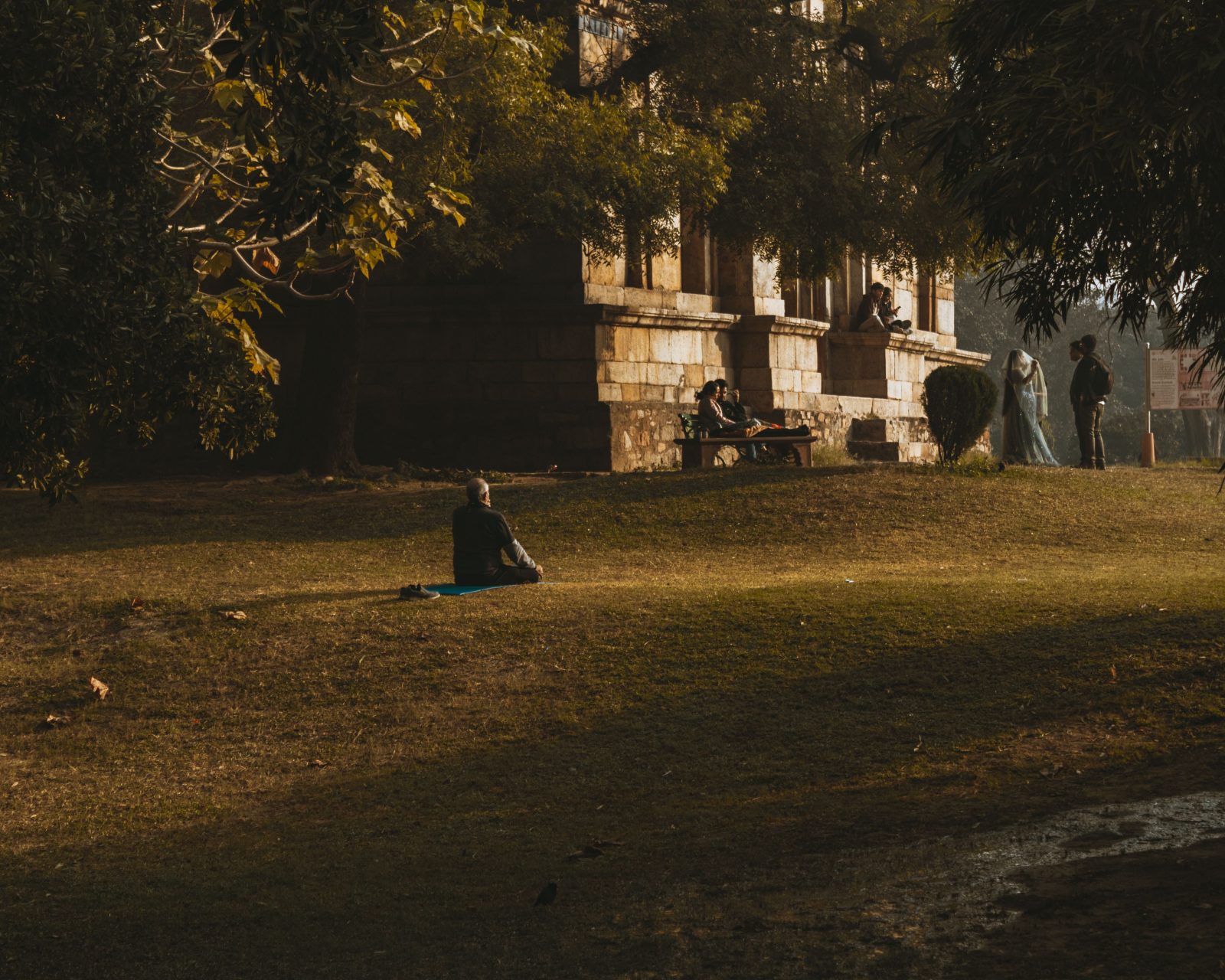 fot. Shantanu Goyal/pexels
